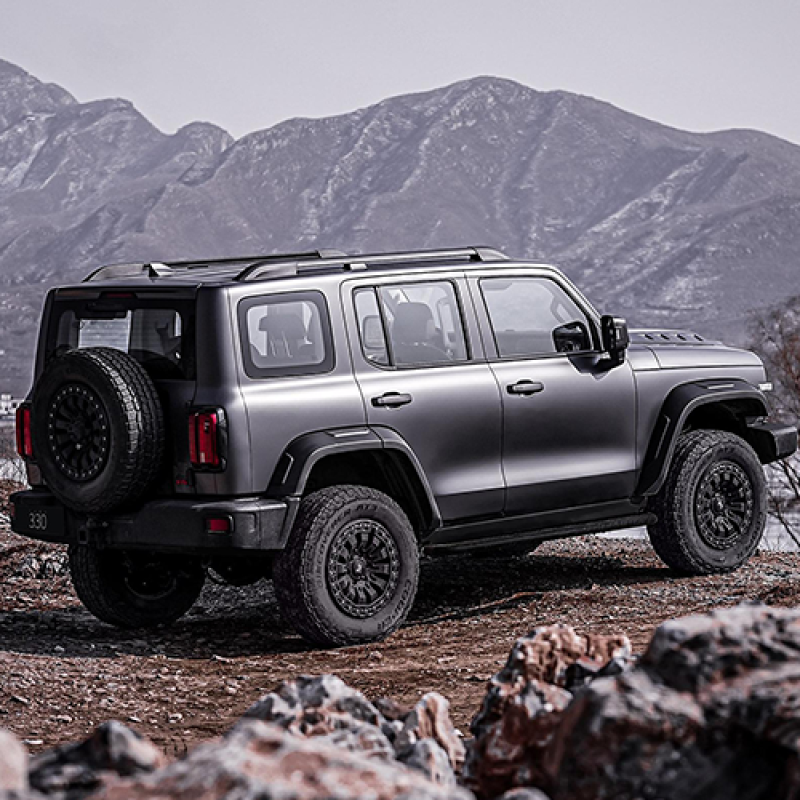 2024 Brand new the Good Sell Chinese Brand 2.0T 4 Wheel Petrol Great Wall tank 300 Off-road SUV