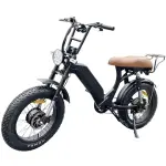 Dual Motor Fat Tire Electric Bike