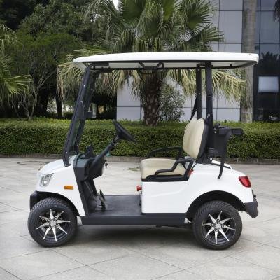 EEC Approved 2 Seater Electric Lithium Battery Golf Cart DS-A2-2