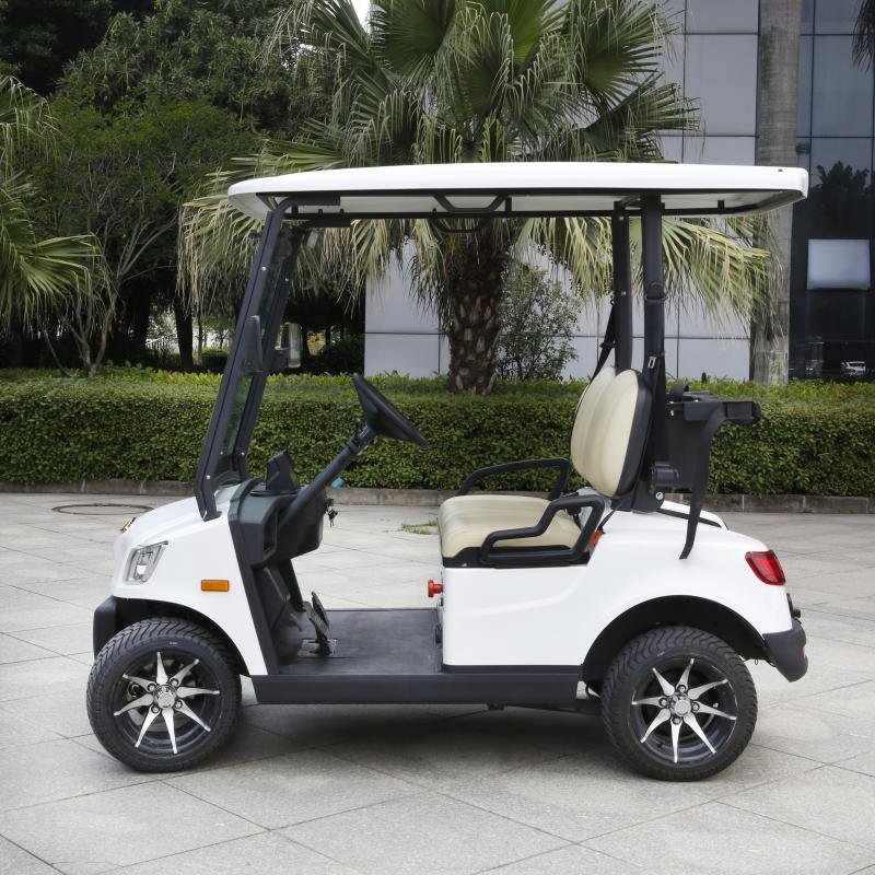 EEC Approved 2 Seater Electric Lithium Battery Golf Cart DS-A2-2