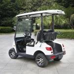 EEC Approved 2 Seater Electric Lithium Battery Golf Cart DS-A2-2