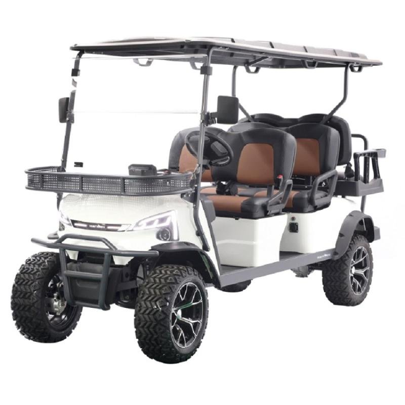 6 Seater Electric Lithium Battery Lifted Golf Cart DH-J4+2