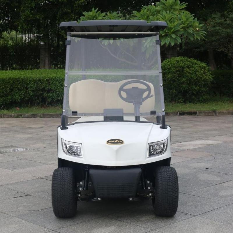 2 Seater Golf Cart DG-M2