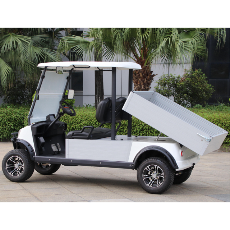 Utility Vehicle DU-CA500