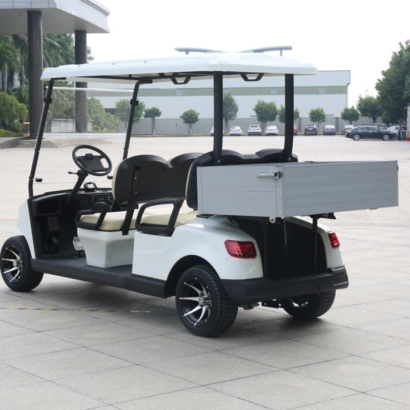 Electric Utility Vehicle DG-M4S