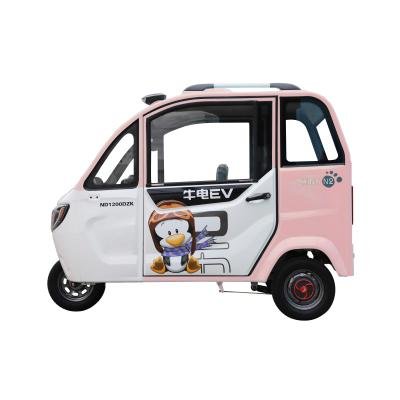 New Design Enclosed Body Electric Tricycle China 2 Doors Electric Tricycle for Adults