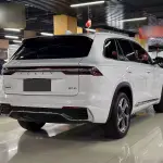 Used Geely Monjaro