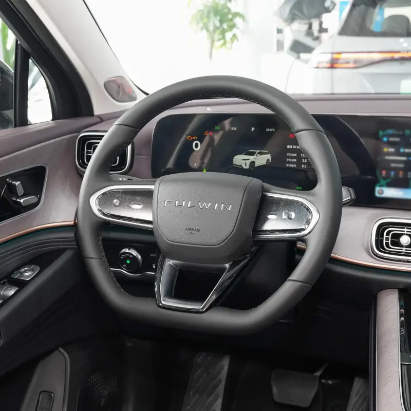 Chery Fulwin T10