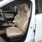 GAC Trumpchi GS4