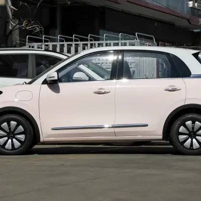 Wuling Bingo