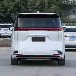 Denza D9 DM-i