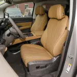 Denza D9 EV