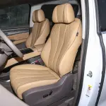 Denza D9 DM-i