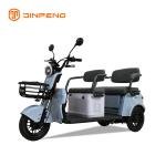 Electric Leisure Tricycle N8