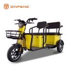 Electric Leisure Tricycle Z5