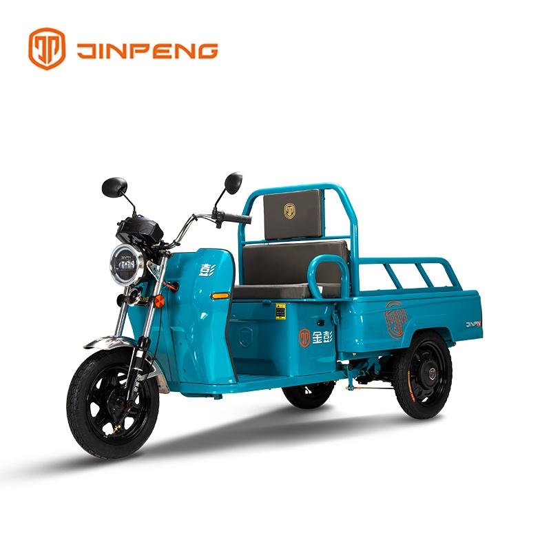 Electric Cargo Tricycle JG110