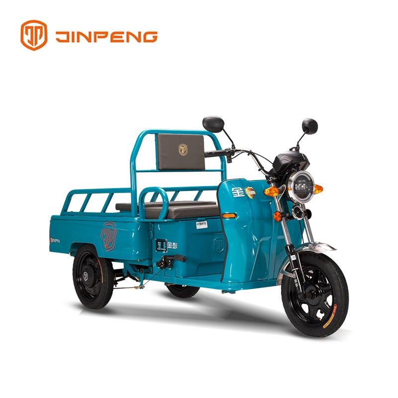 Electric Cargo Tricycle JG110