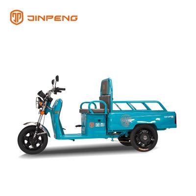 Electric Cargo Tricycle JG110