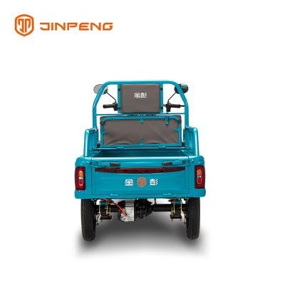 Electric Cargo Tricycle JG110