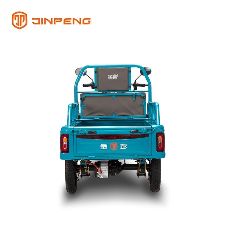 Electric Cargo Tricycle JG110