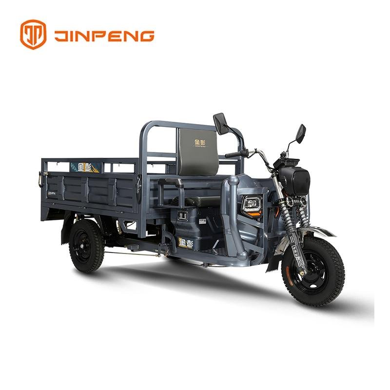 Electric Cargo Tricycle HK180