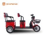 Electric Leisure Tricycle A9 PRO