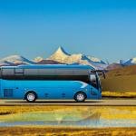 6996AYW 6900AYW 6900CYW 9-10m Coach