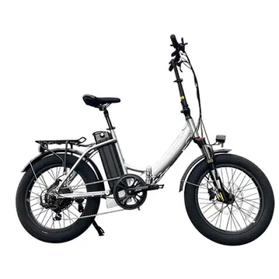 Folding Electric Bike