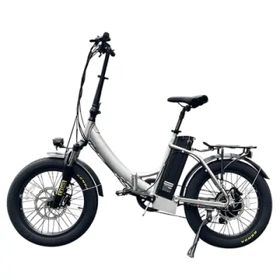 Folding Electric Bike