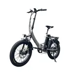 Folding Electric Bike