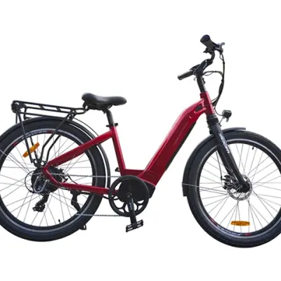 Hidden Battery Electric Bike