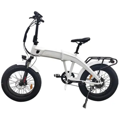 500w Fat Tire Electric Bike