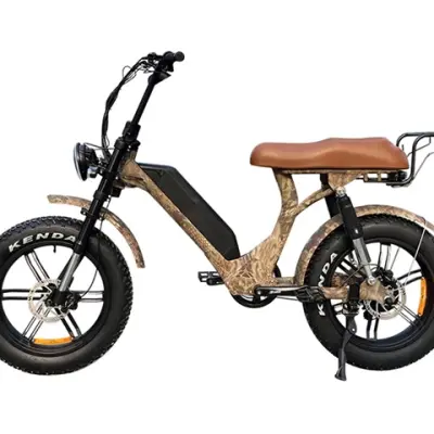 Step Through Fat Tire Electric Bike