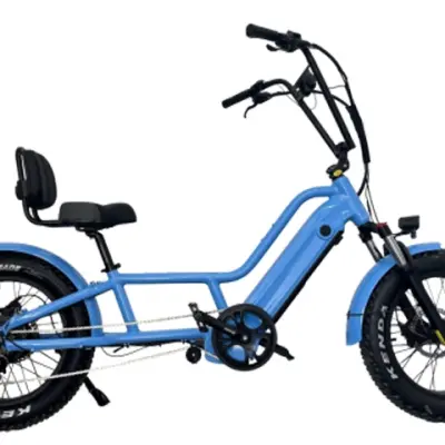 Electric Recumbent Bike