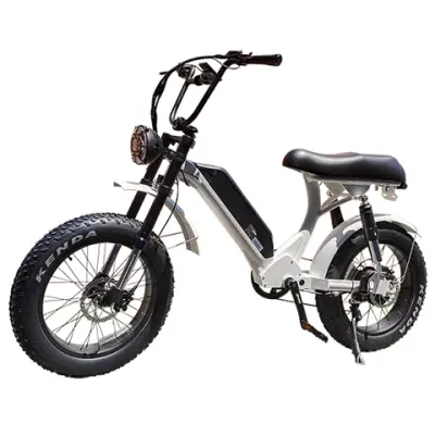 Step Through Fat Tire Electric Bike