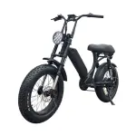 Step Through Fat Tire Electric Bike
