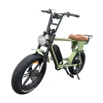 Moped Style Electric Bike
