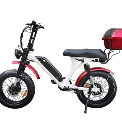 Dual Motor Fat Tire Electric Bike