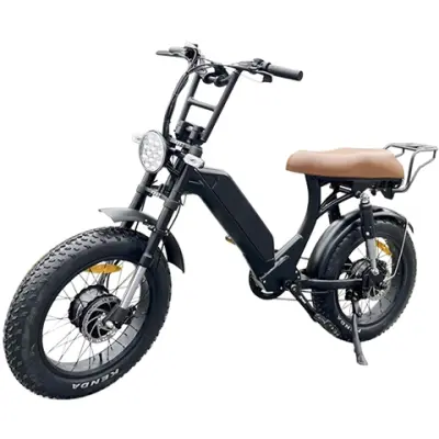 Dual Motor Fat Tire Electric Bike