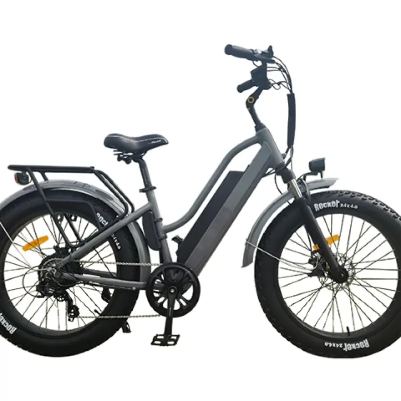 20 Inch Fat Tire Electric Bike