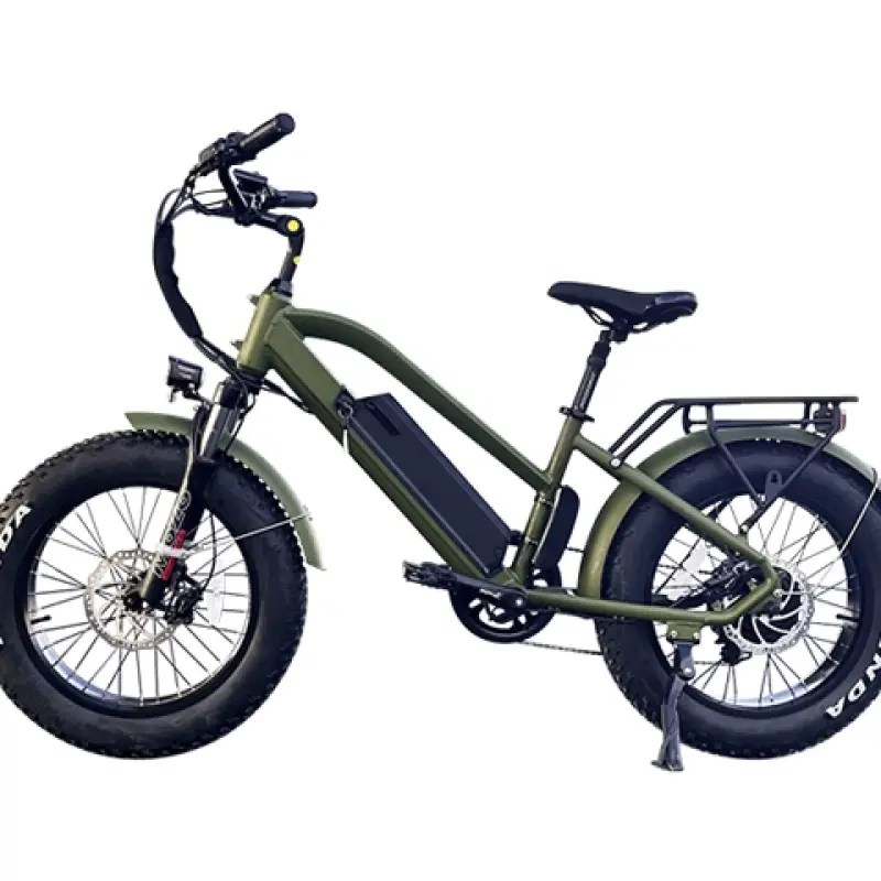 20 Inch Fat Tire Electric Bike