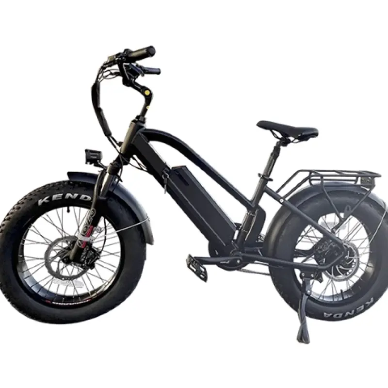 20 Inch Fat Tire Electric Bike