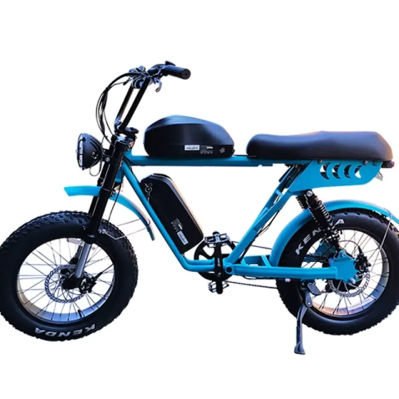 Dual Battery Fat Tire Electric Bike