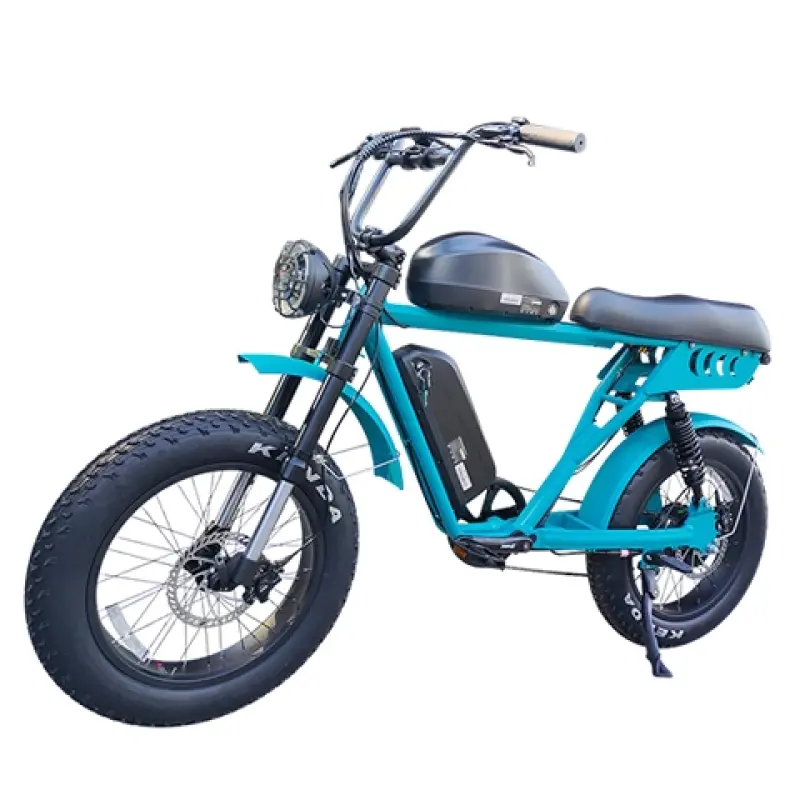 Dual Battery Fat Tire Electric Bike