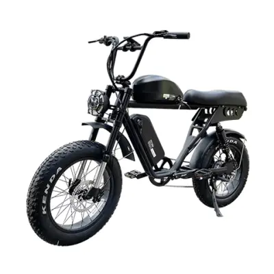 Dual Battery Fat Tire Electric Bike