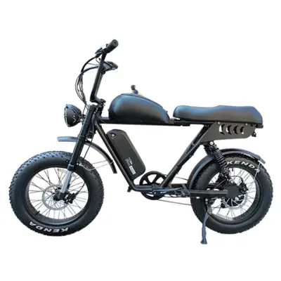 Retro Fat Tire Electric Bike