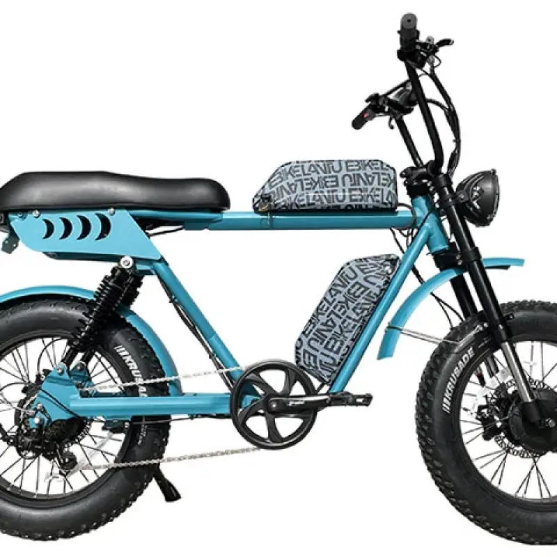 52V Dual Motor Dual Batteries Electric Bike