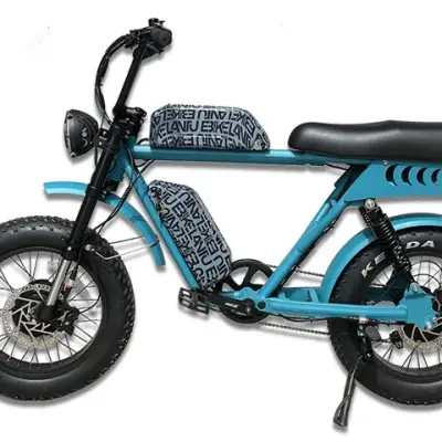 52V Dual Motor Dual Batteries Electric Bike