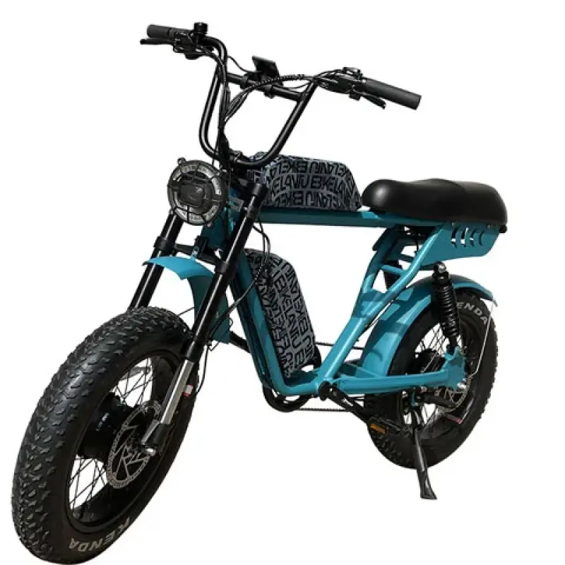 52V Dual Motor Dual Batteries Electric Bike