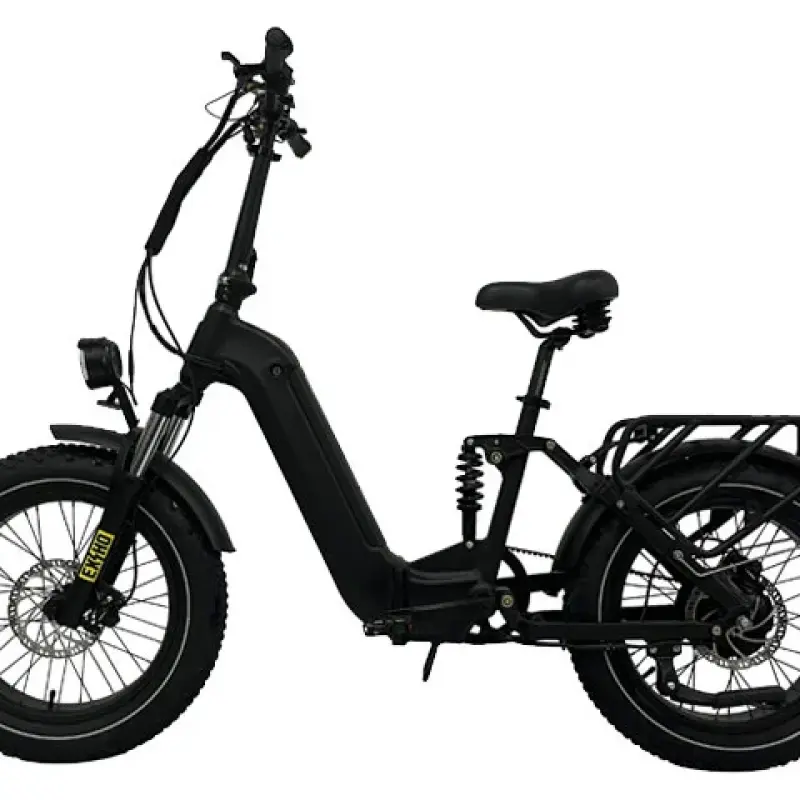 Belt Drive Electric Bike